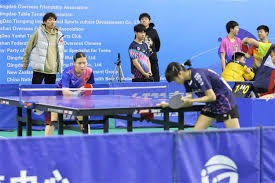 麻将你还在硬打吗（打麻将你还在硬拼吗）